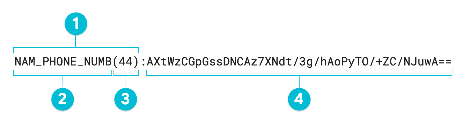 Diagramma annotato di un valore tokenizzato utilizzando la crittografia deterministica
         con il metodo di trasformazione AES-SIV.