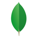 查看 MongoDB 說明文件